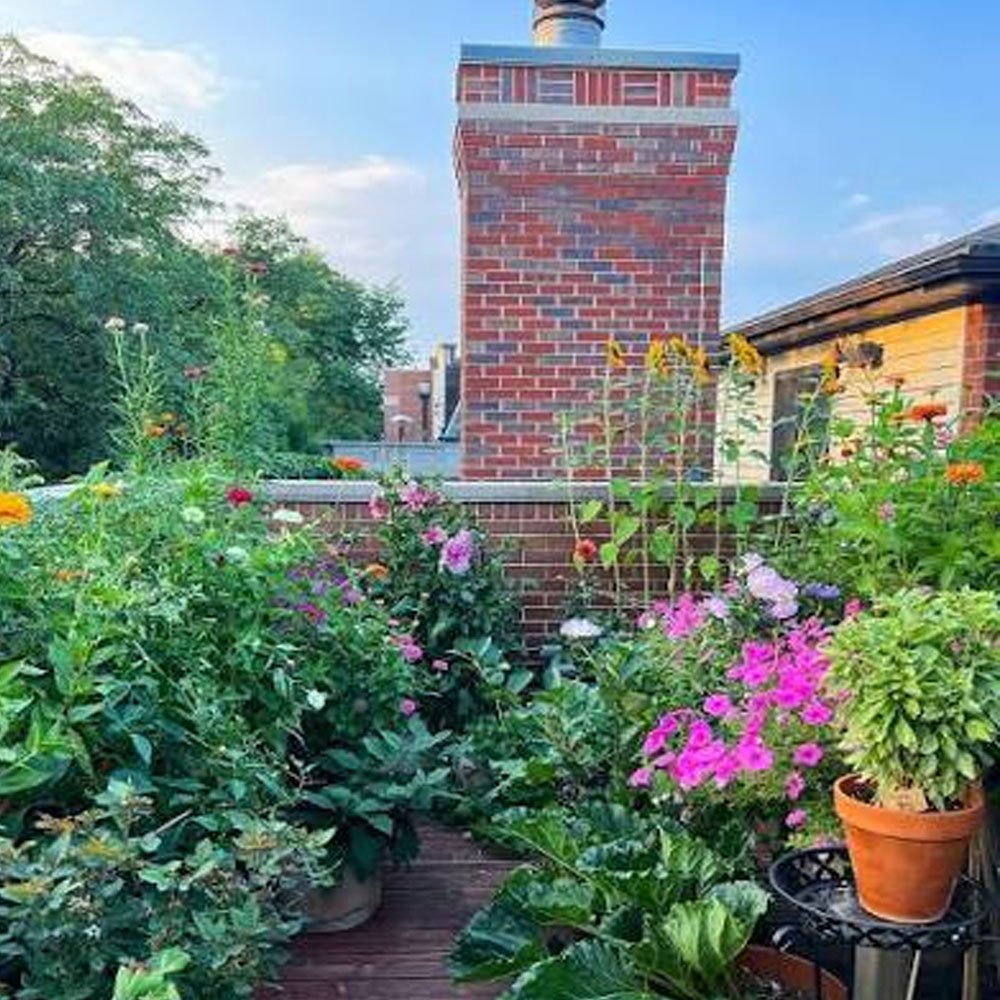 Roof Gardening